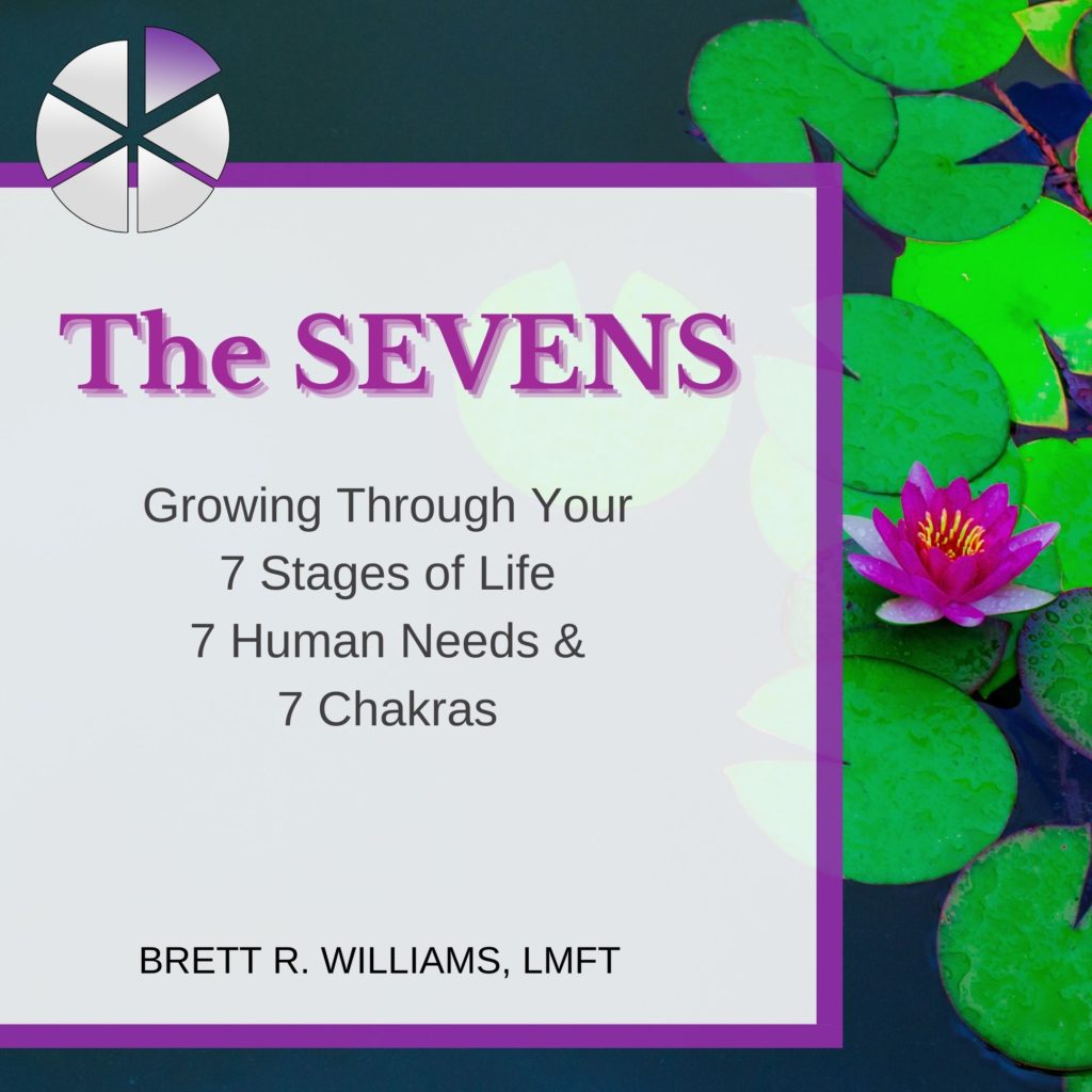 The SEVENS - 7 human needs, 7 Stages of Life, 7 Chakras
